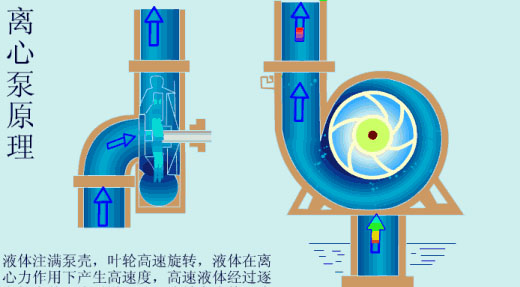 給（gei）水泵、給（ji）水泵別再傻傻分不清楚（內(nèi)含動畫）